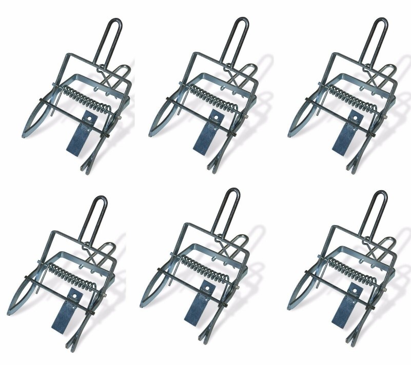 Scissors Mole Trap