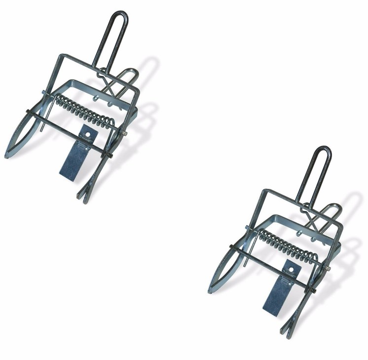 Scissors Mole Trap