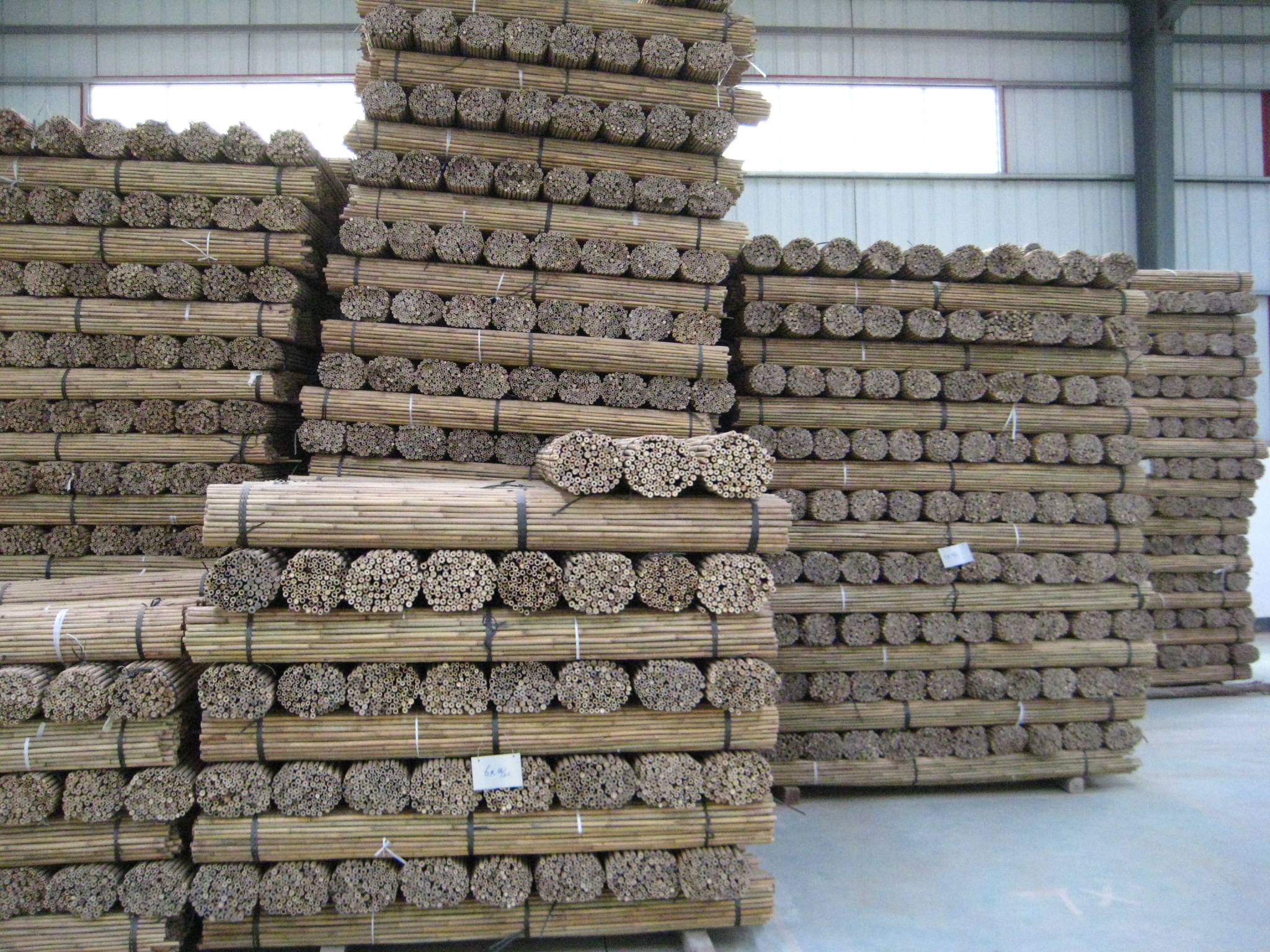 Natural Bamboo Canes