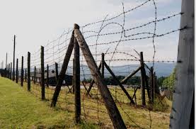 #galvanized barbed wire fence