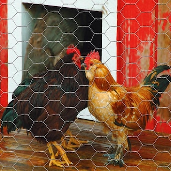 Galvanzied hexagonal wire netting, poultry mesh netting