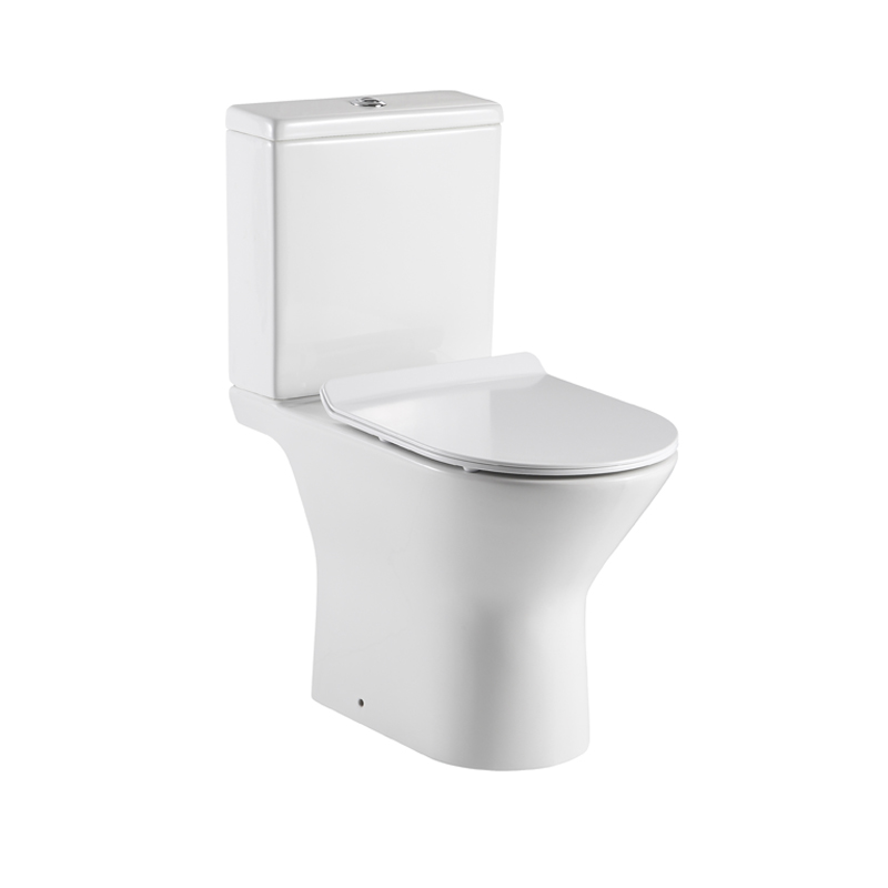 NR1321 Rimless wash down two piece toilet set