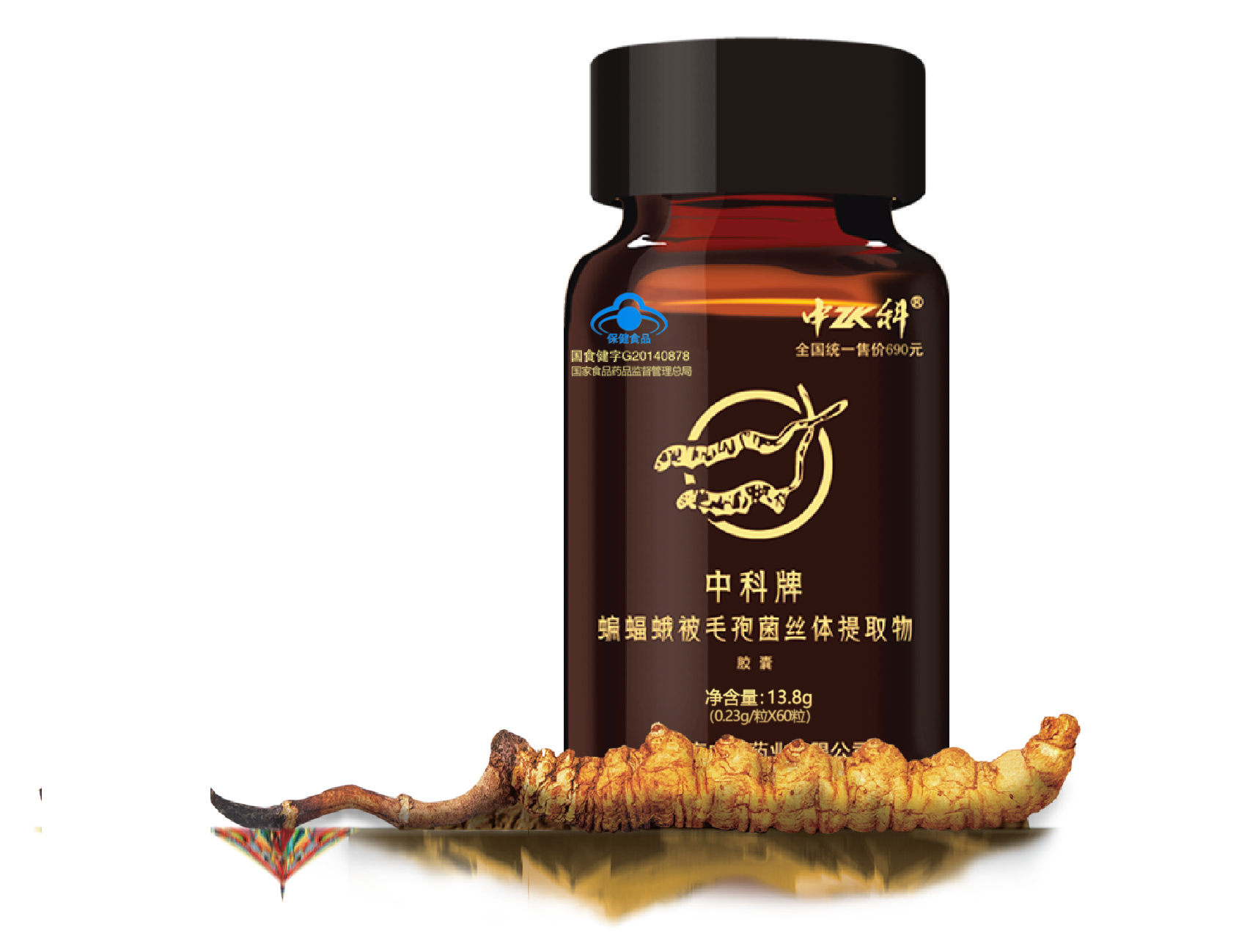 Cordyceps Sinensis Mycelium Extract Capsule