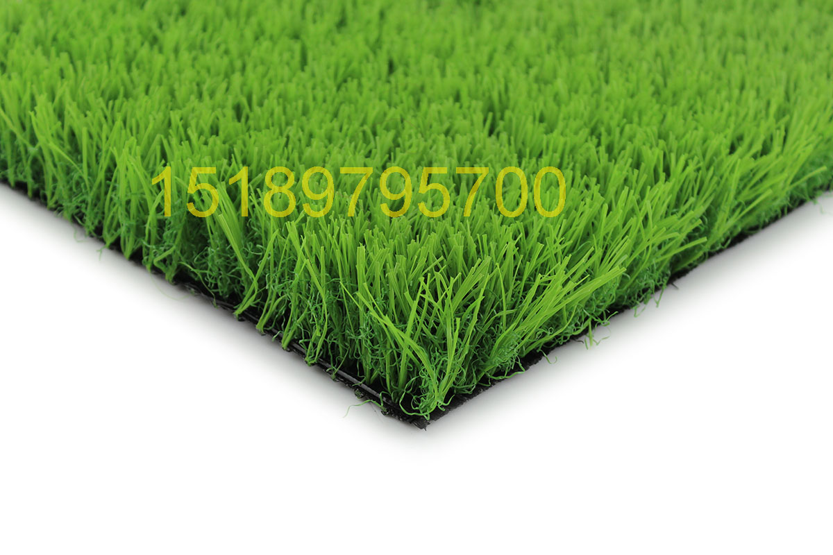 Artificial Grass