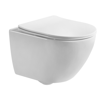 SWM9319-1 Rimless wash down wall hung toilet