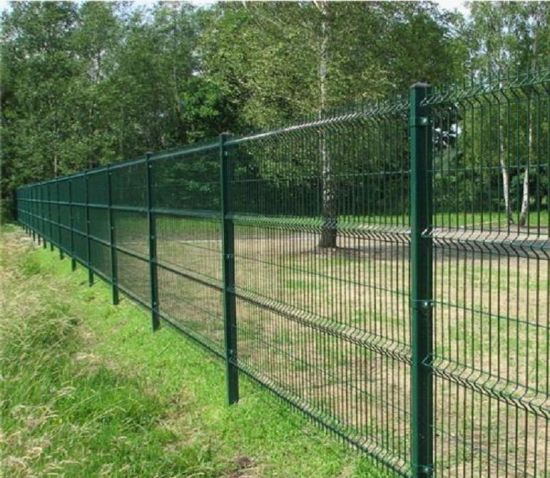 Factory price 3D fence and peach type fence