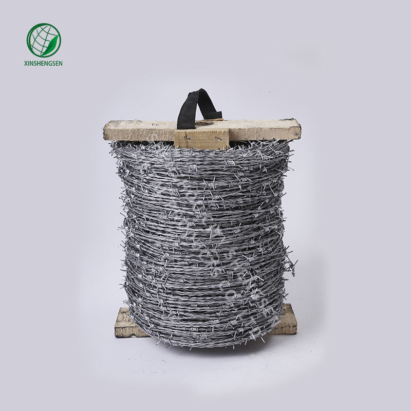 Hot sale Barbed wire