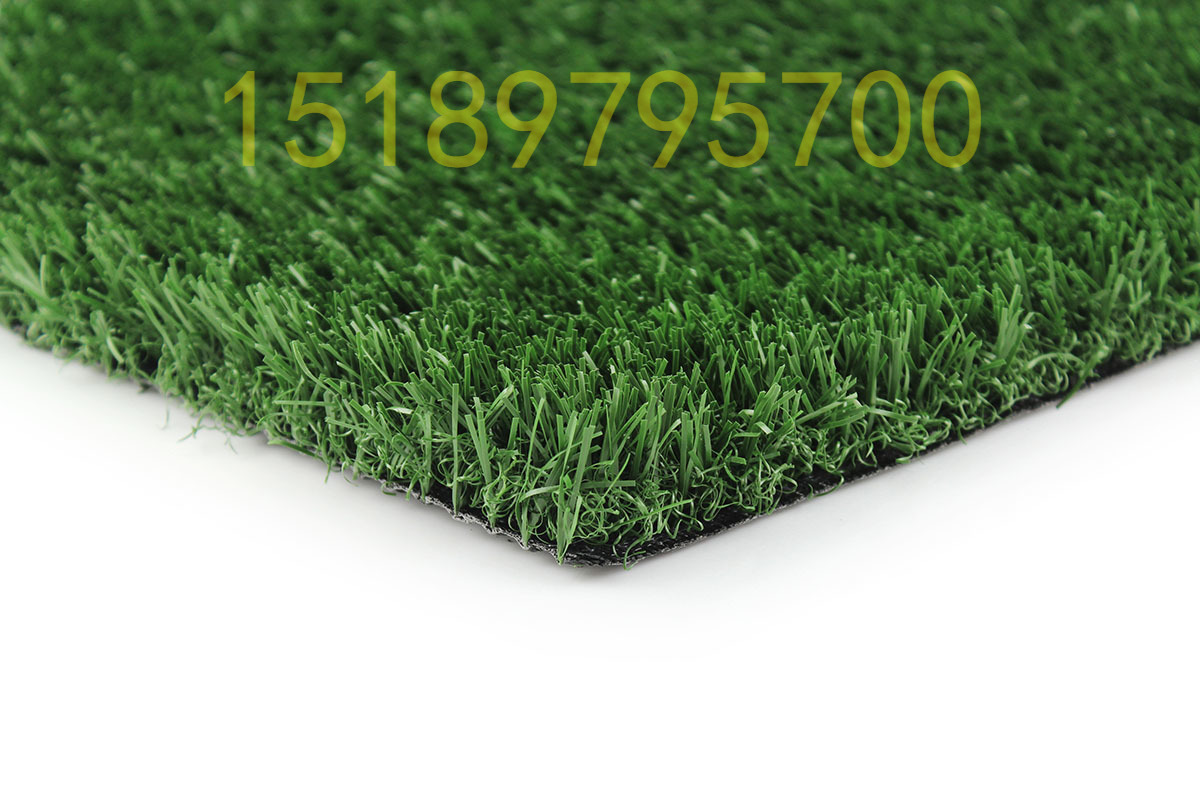 Artificial Grass