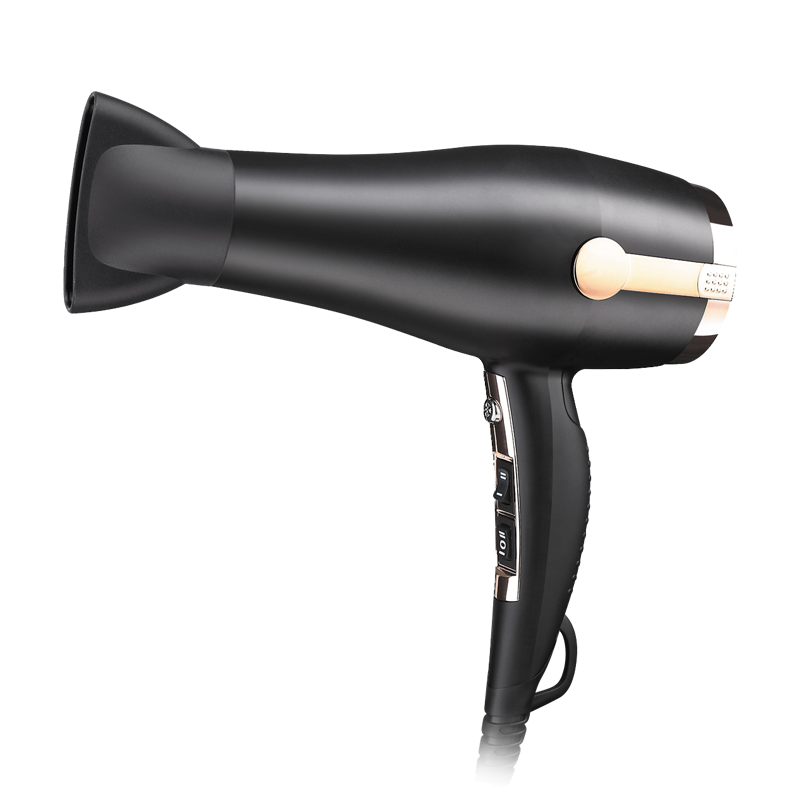 XDM DC hair dryer 6608