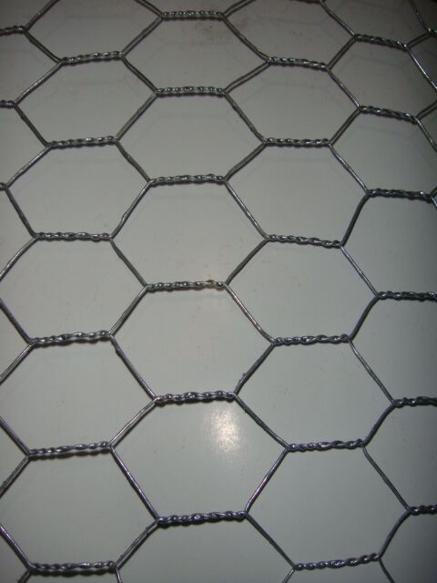 Hexagonal wire netting