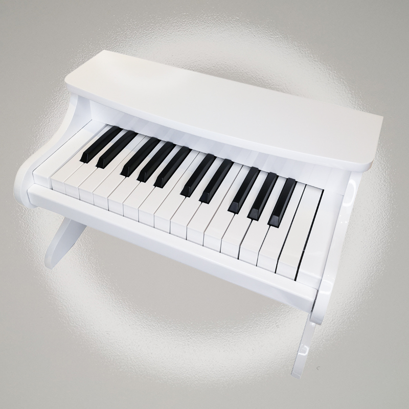 25 keys piano