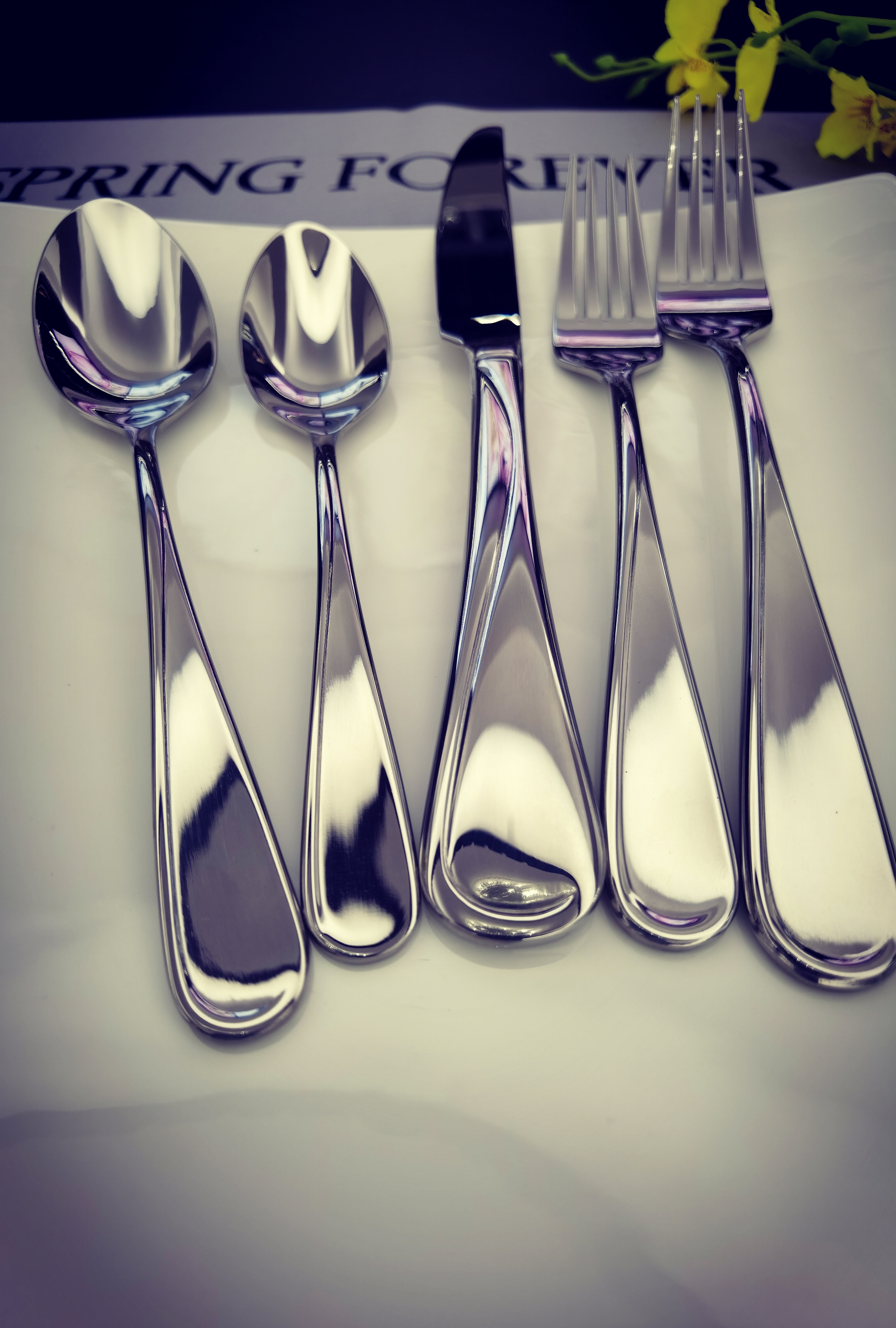 Stainless steel Cutlery sets