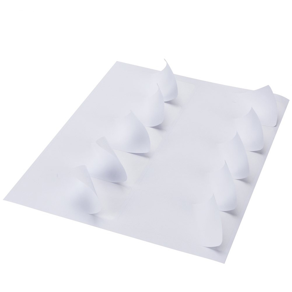 5163 White Laser & Inkjet Labels 10 labels Per Sheet Shipping Address Labels