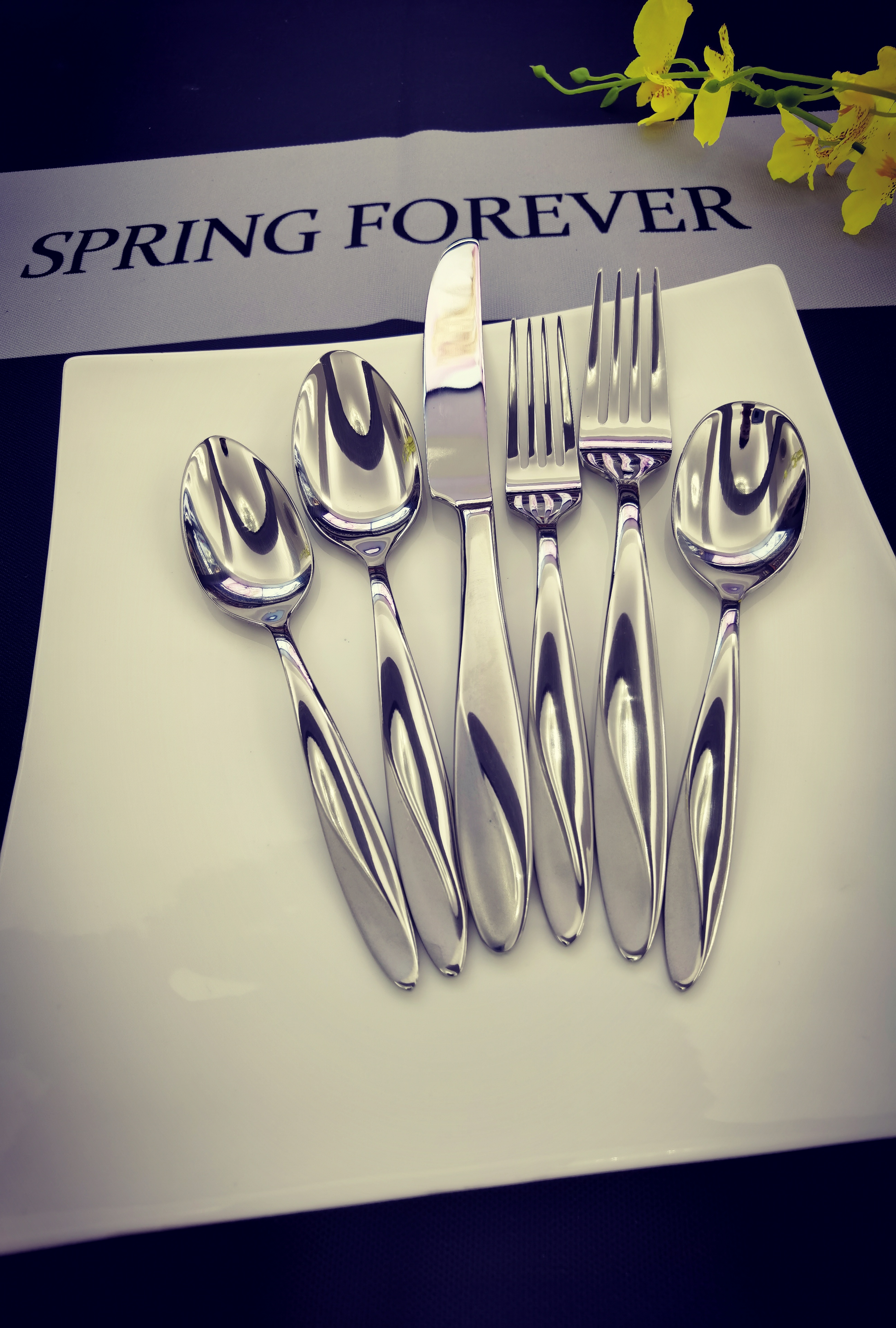 Stainless steel Cutlery