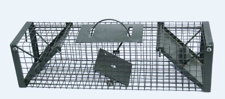 Animal trap cage