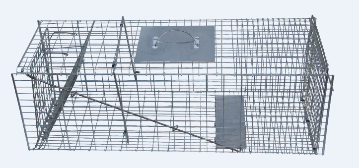 foldable animal trap cage