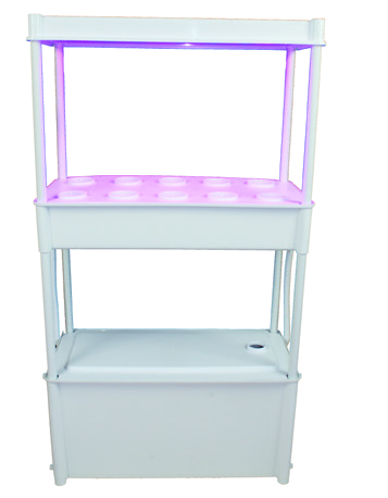 Salad Green Grower With LED Light & Tank