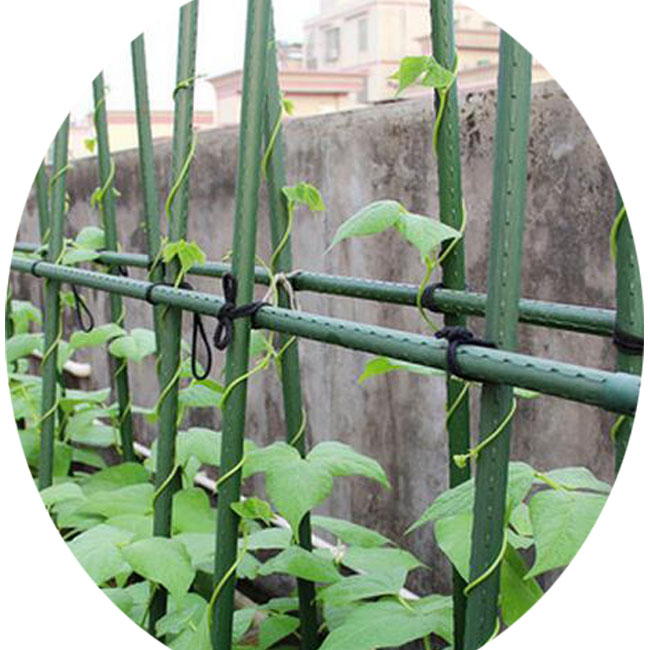 #1.2m plant stake, plant climbing support