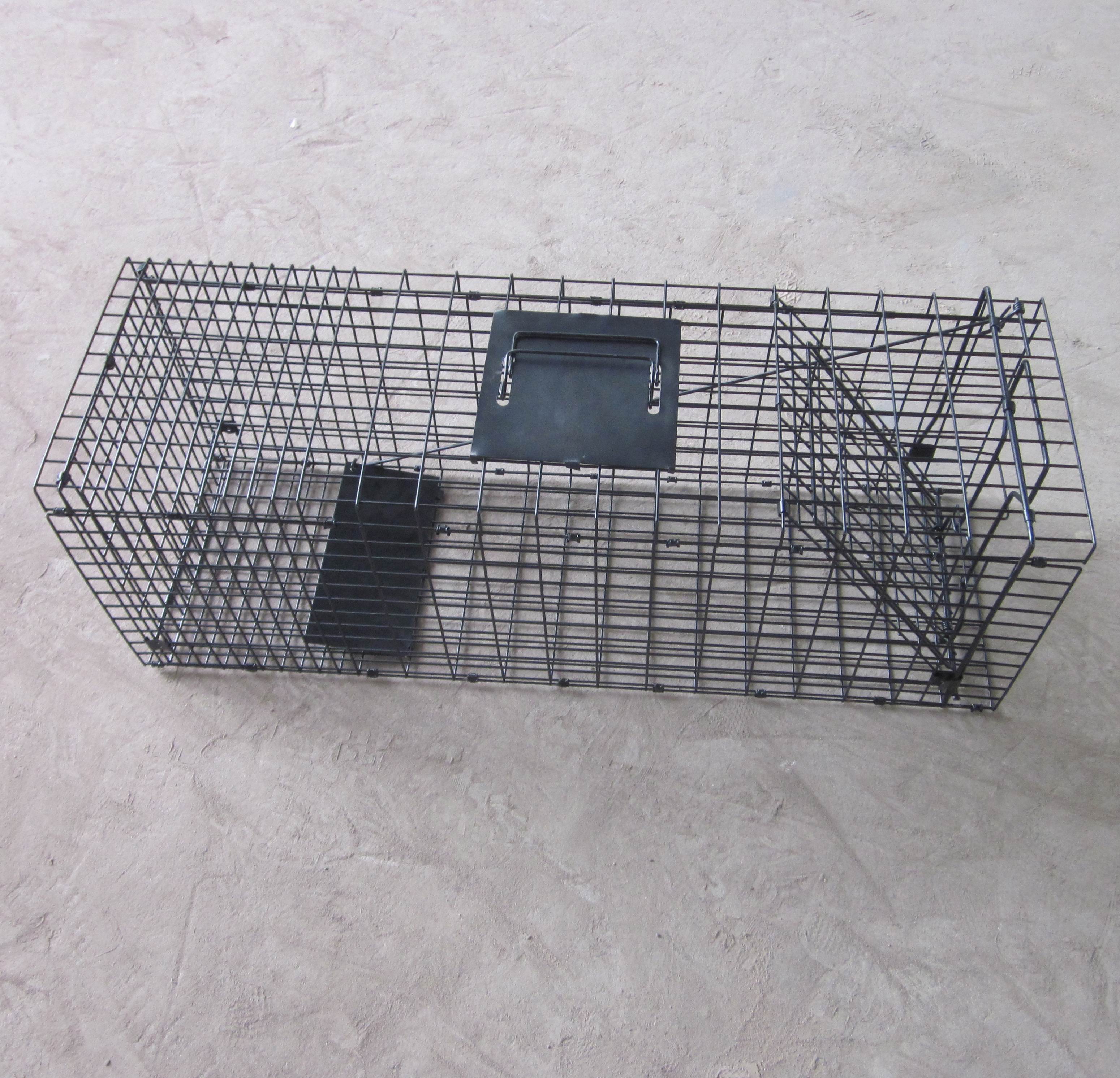Animal Trap Cage
