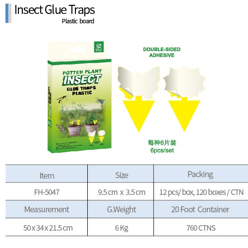 Glue Traps