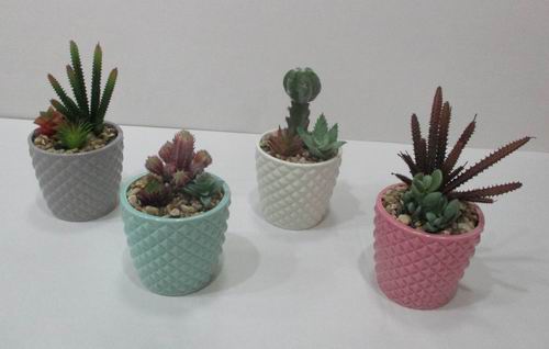 # flower pot, planter, garden pot, indoor pot, outdoor pot, ceramic pot, ceramic vase, secculent pot, flower vase