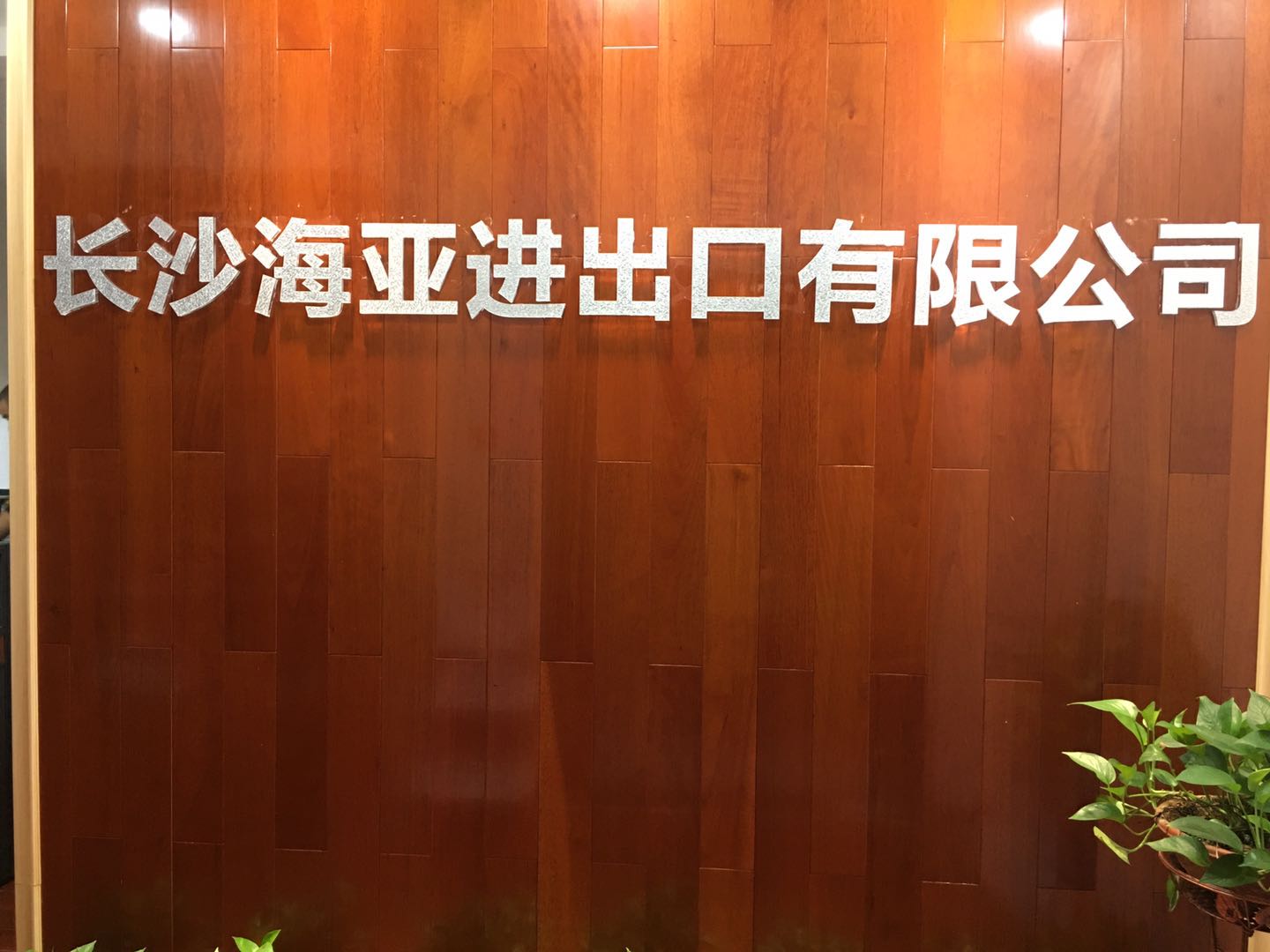Changsha Haiya Import and Export Co., Ltd. – 钢管 1
