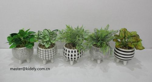 # flower pot, planter, garden pot, ceramic pot, ceramic vase
