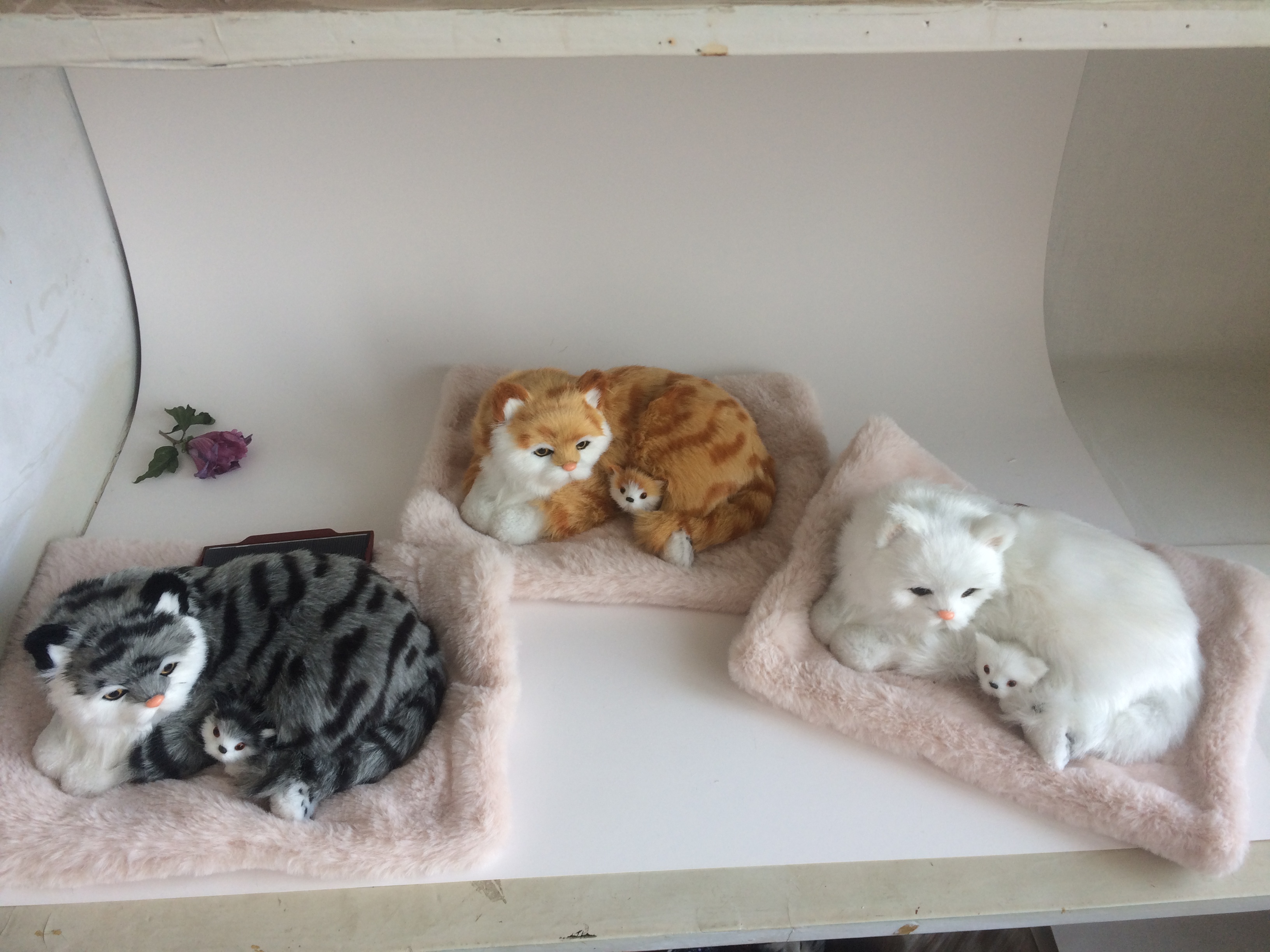 Solar Pet Decoration Handicrafts