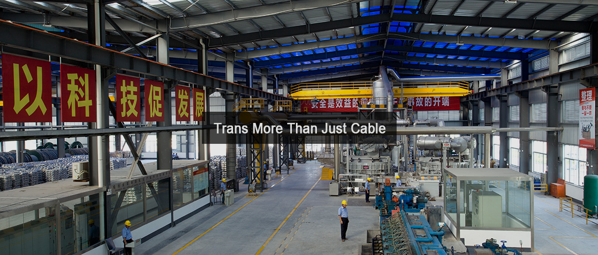 Guangdong Yuanguang Cable Industrial Co., Ltd. – wire 2