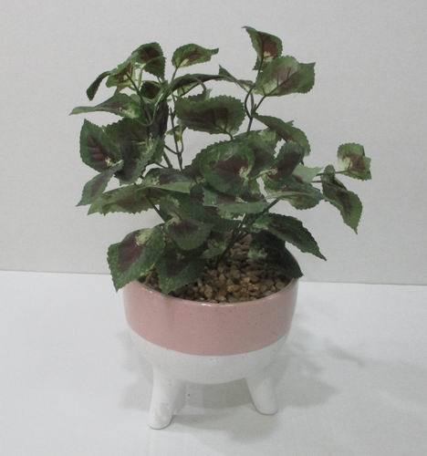# flower pot, planter, garden pot, ceramic pot, ceramic vase