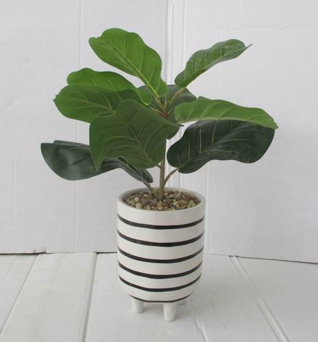 # flower pot, planter, garden pot, ceramic pot, ceramic vase