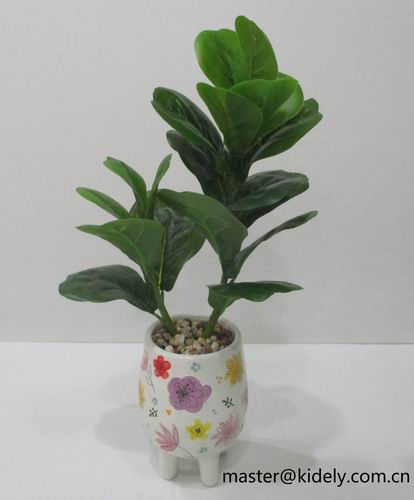 # flower pot, planter, garden pot, ceramic pot, ceramic vase