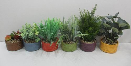 # flower pot, planter, garden pot, ceramic pot, ceramic vase
