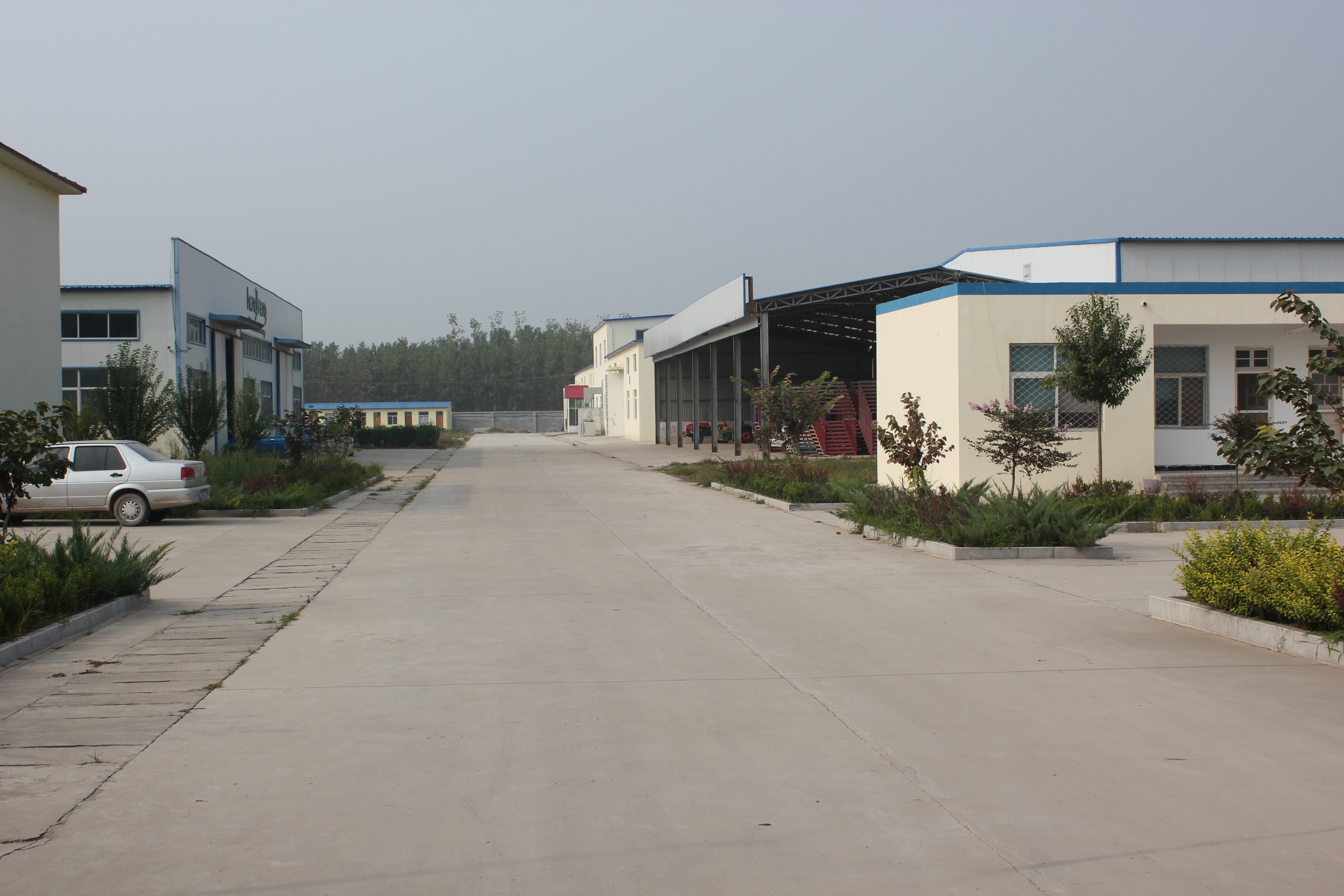 Juye Hengfeng Fruits and Vegetables Co., Ltd. – Product photos 3