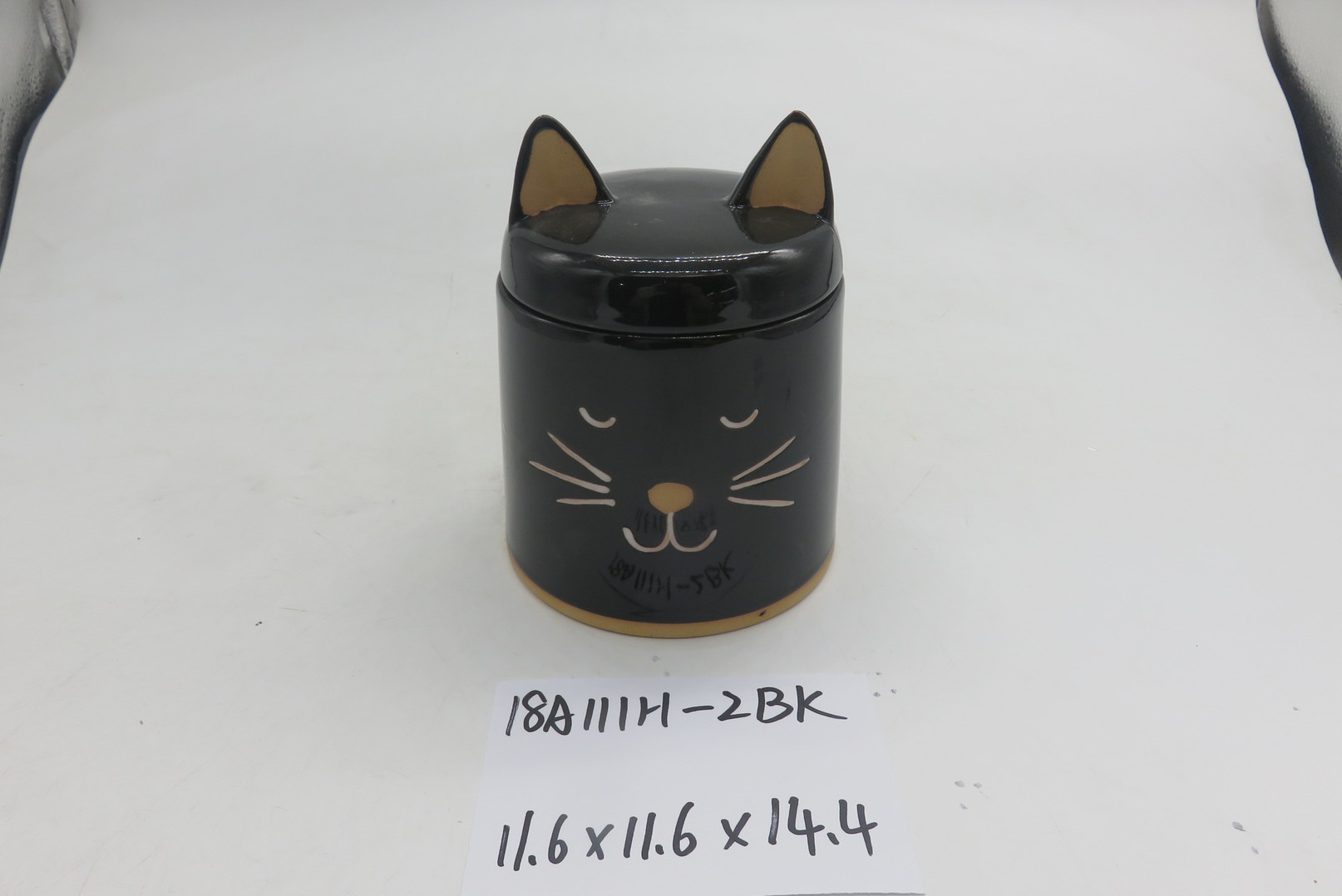 The cat can