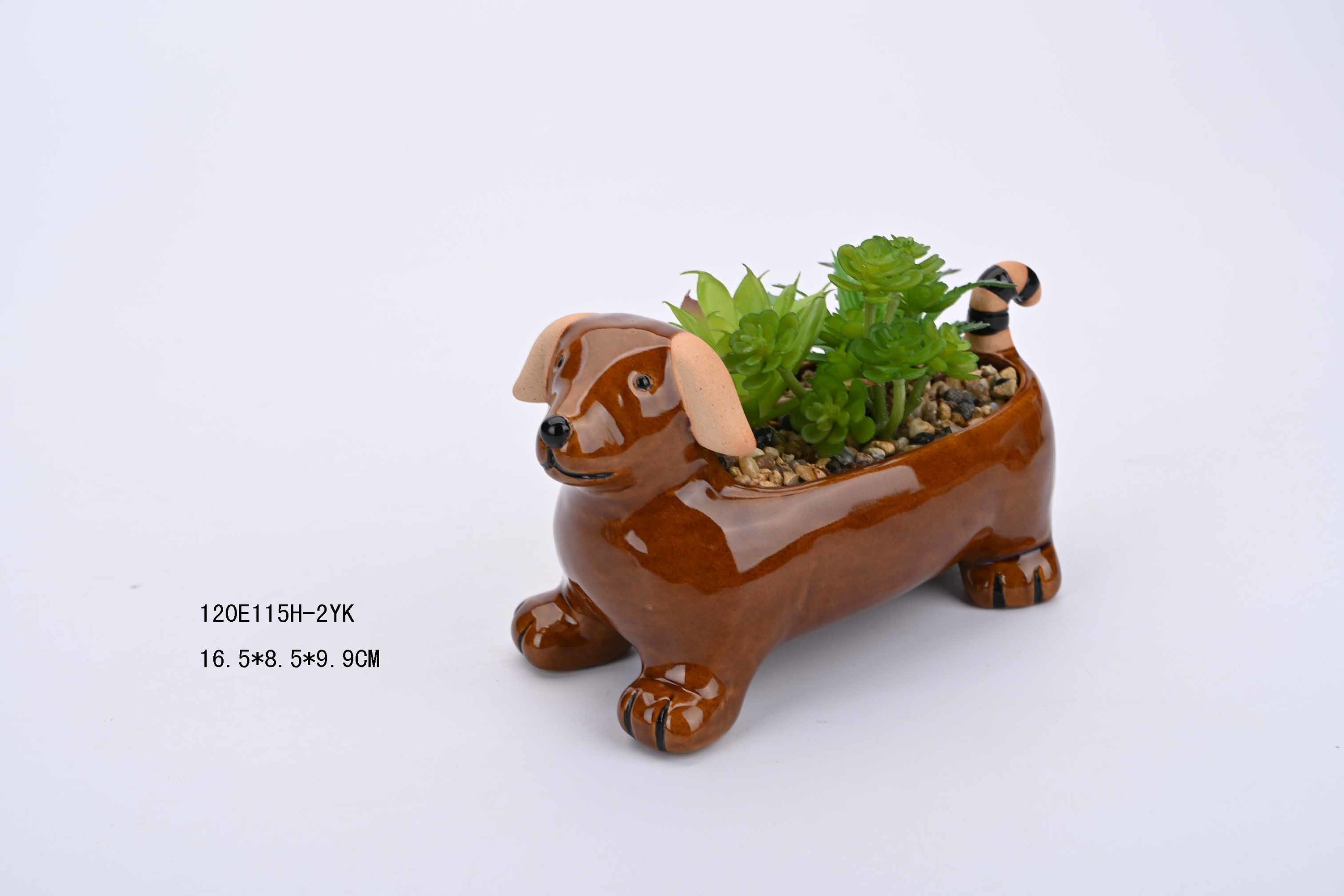 Fleshy flower pot