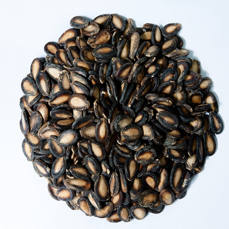Black Melon seeds 11.5cm 2A