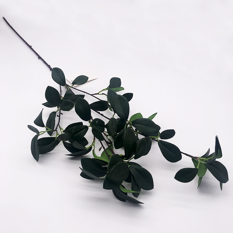 Single5 Branches Adzuki Beans