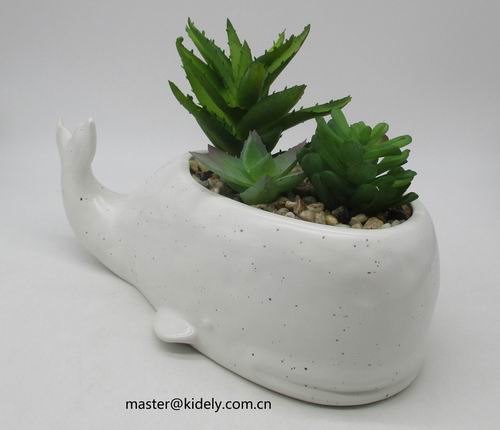 # flower pot, planter, garden pot, ceramic pot, ceramic vase