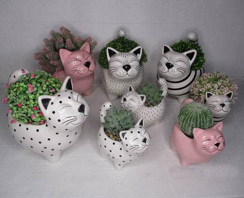 # flower pot, planter, garden pot, ceramic pot, ceramic vase