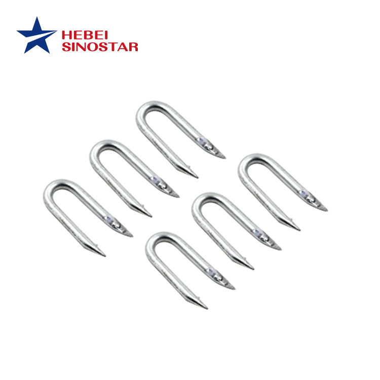 U Shaped Staple Nail