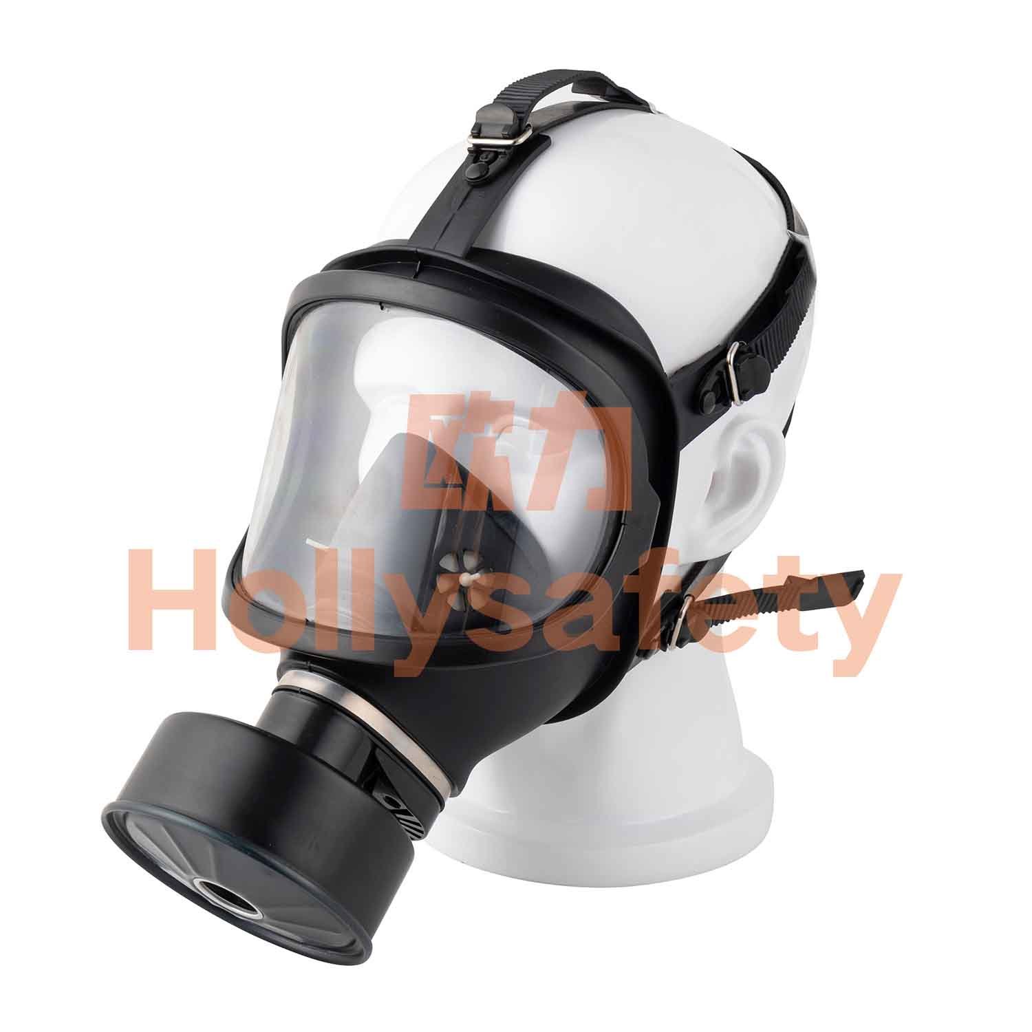 Holly Full Face Mask