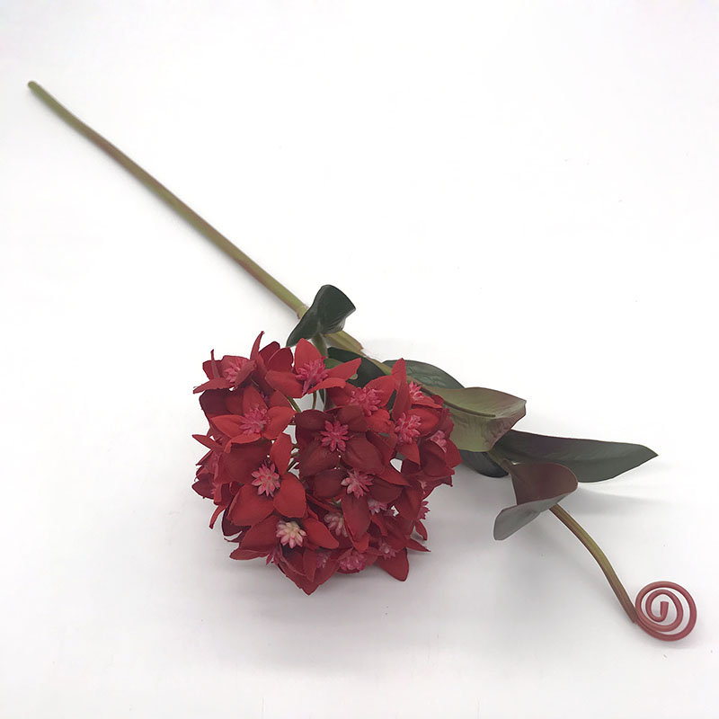 Single Hydrangea with tube