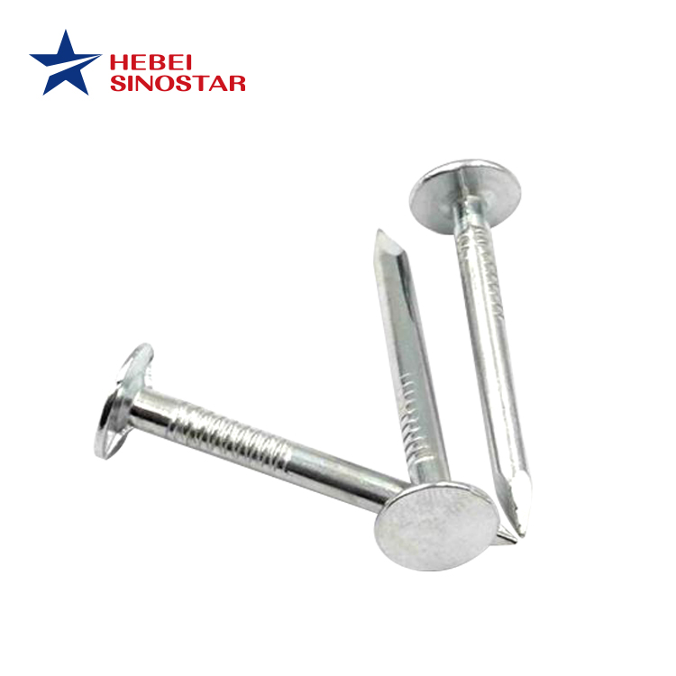 Galvanized Big Flat Head Nail Smooth Shank Nails