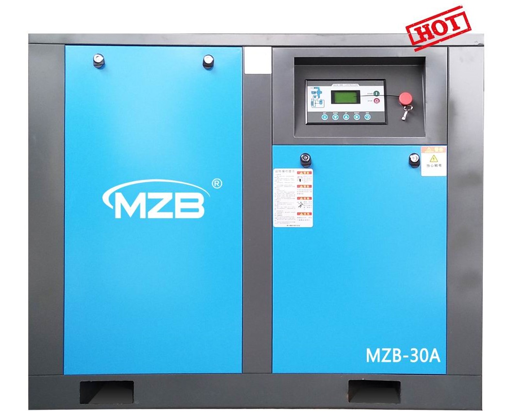 Screw air compressor