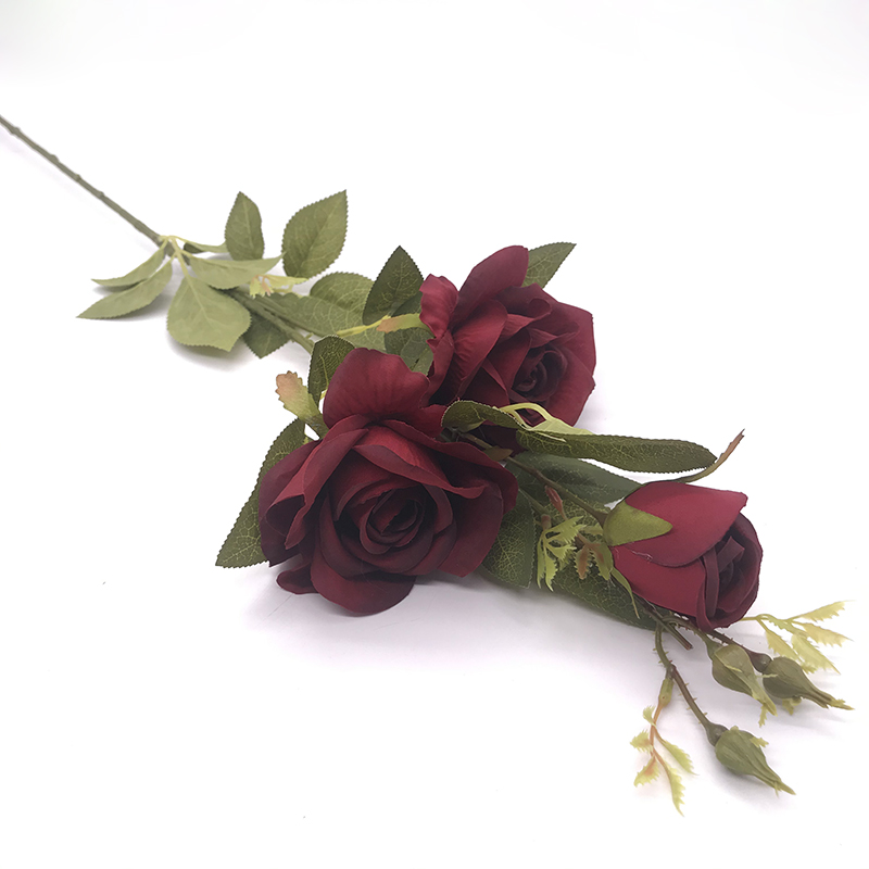 Single Rose