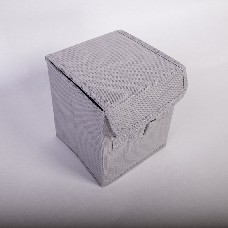 Mini Storage Bin with Flap