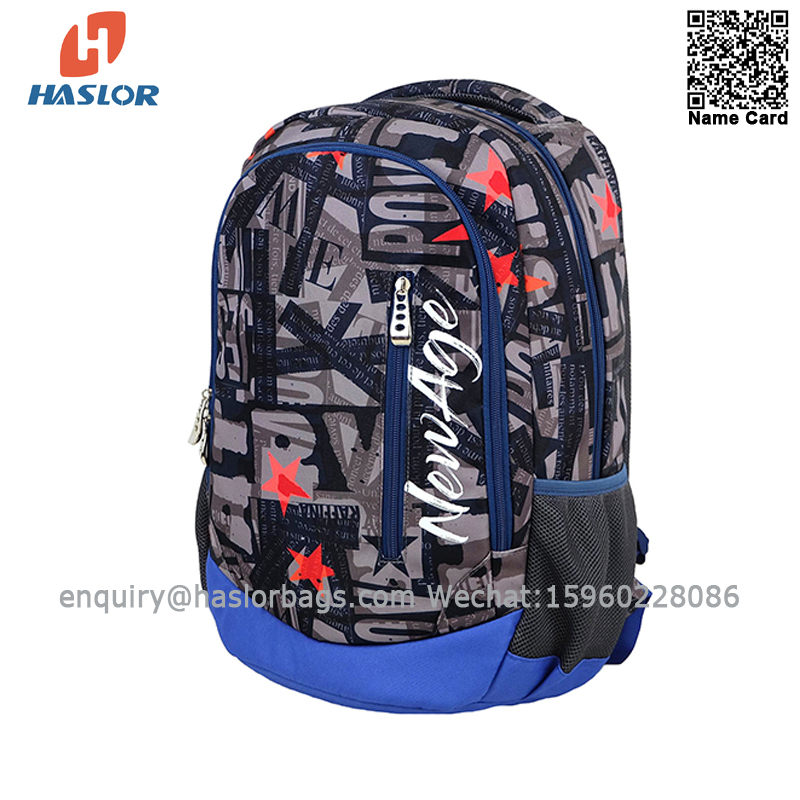 01 Haslor Boy School Backpack Student Day Bag for Children