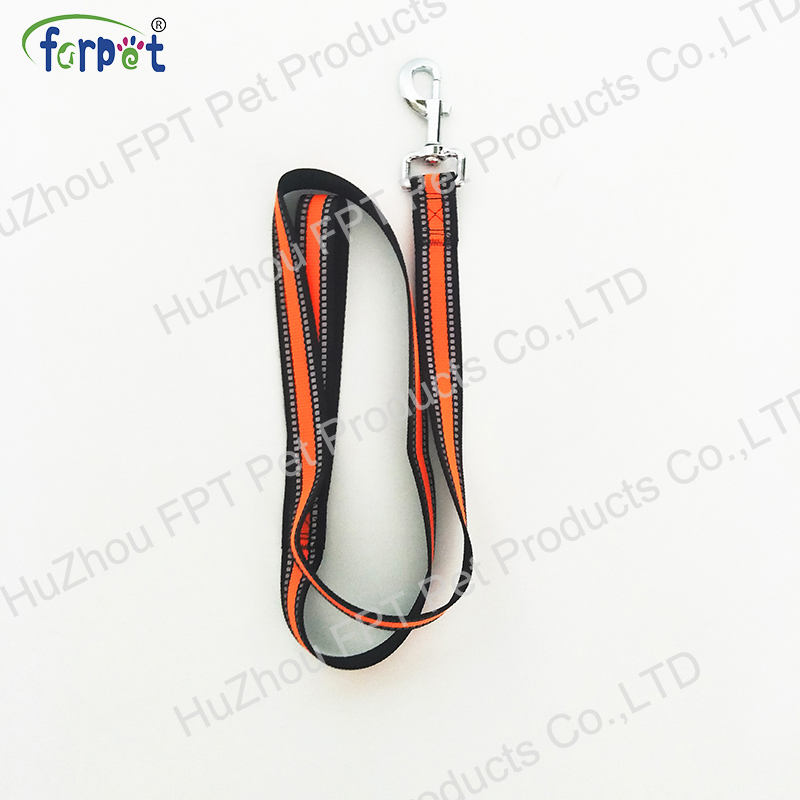 dog lead