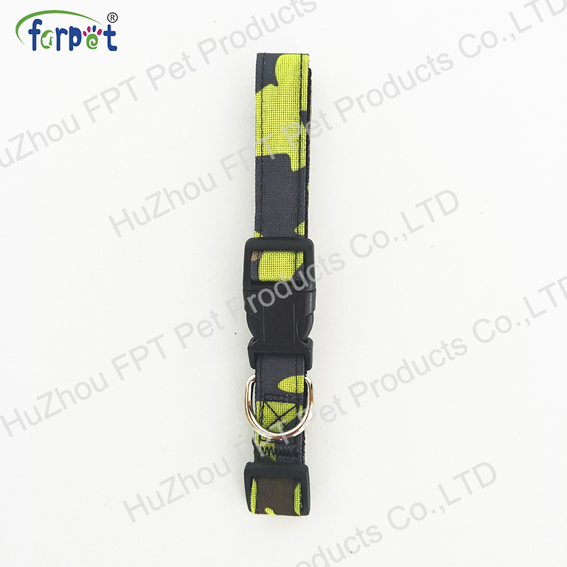 dog collar